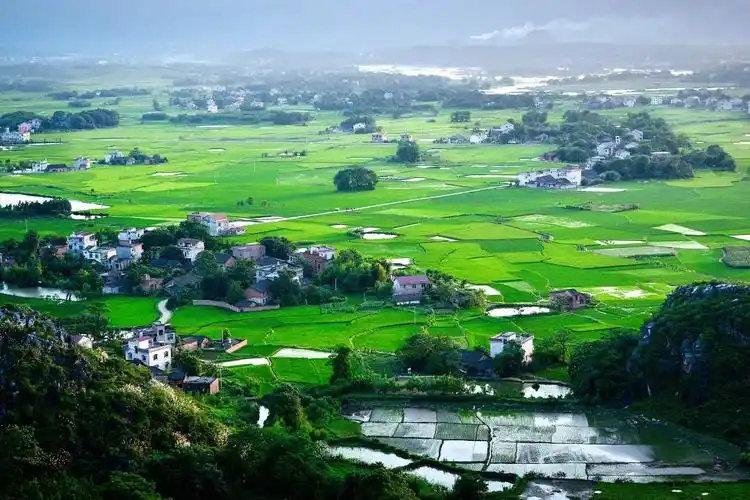 政府工作報告出爐，2025年生態環保工作這么干！