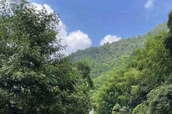 寧夏“十五五”規劃建議出爐 加快經濟社會發展全面綠色轉型