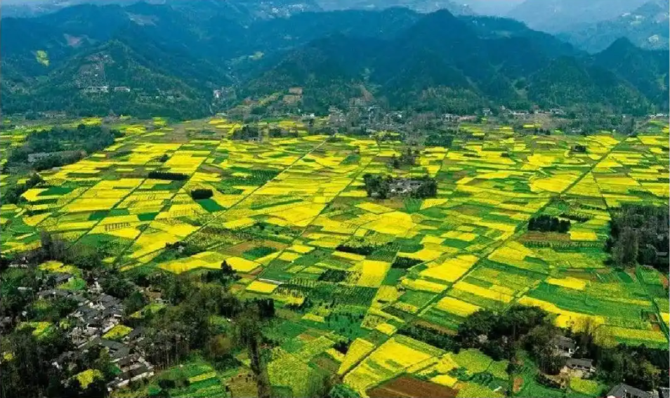 讓美麗四川顏值更高、實力更強！示范創建將從三方面發力